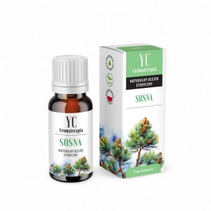 Olejek eteryczny sosna 10 ml od YOUR CANDLE
