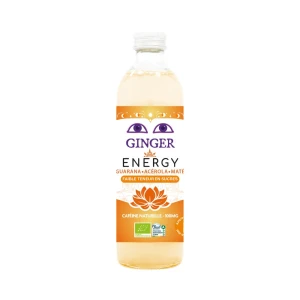 Piwo imbirowe energy bezalkoholowe fair for life BIO 350 ml od KARMA