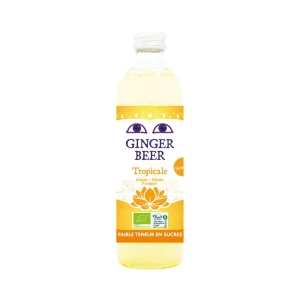 Piwo imbirowe o smaku owoców tropikalnych bezalkoholowe fair for life BIO 750 ML od KARMA