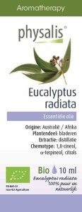 Olejek eteryczny eukaliptus australijski (eucalyptus radiata) BIO 10 ml od PHYSALIS