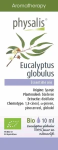 Olejek eteryczny eukaliptus gałkowy (eucalyptus globulus) BIO 10 ml od PHYSALIS