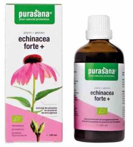 Echinacea forte (jeżówka purpurowa) krople BIO 100 ml od PURASANA